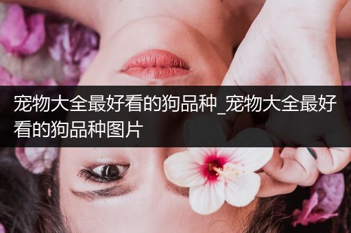 宠物大全最好看的狗品种_宠物大全最好看的狗品种图片