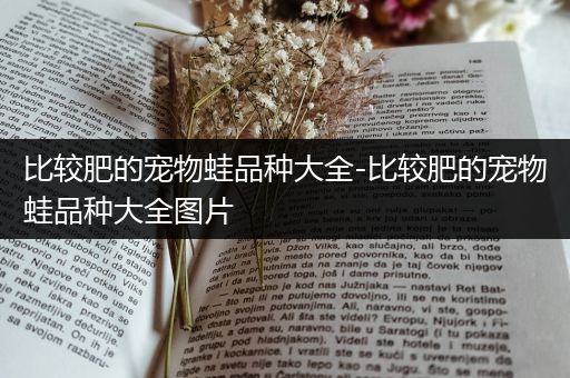 比较肥的宠物蛙品种大全-比较肥的宠物蛙品种大全图片