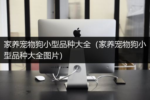 家养宠物狗小型品种大全（家养宠物狗小型品种大全图片）