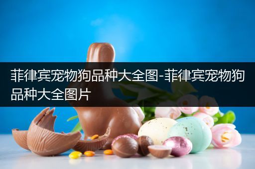 菲律宾宠物狗品种大全图-菲律宾宠物狗品种大全图片