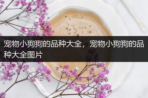 宠物小狗狗的品种大全，宠物小狗狗的品种大全图片