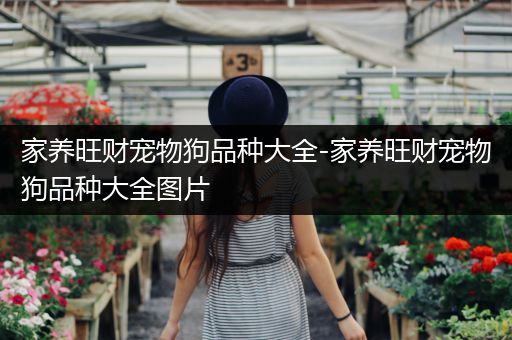 家养旺财宠物狗品种大全-家养旺财宠物狗品种大全图片