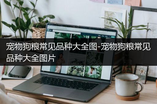 宠物狗粮常见品种大全图-宠物狗粮常见品种大全图片