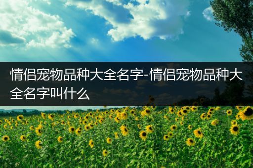 情侣宠物品种大全名字-情侣宠物品种大全名字叫什么