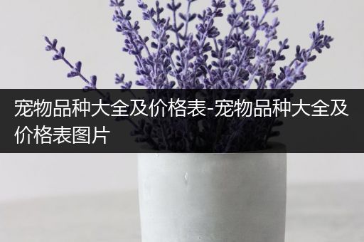 宠物品种大全及价格表-宠物品种大全及价格表图片