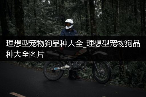 理想型宠物狗品种大全_理想型宠物狗品种大全图片