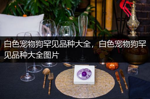 白色宠物狗罕见品种大全，白色宠物狗罕见品种大全图片