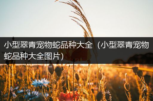 小型翠青宠物蛇品种大全（小型翠青宠物蛇品种大全图片）