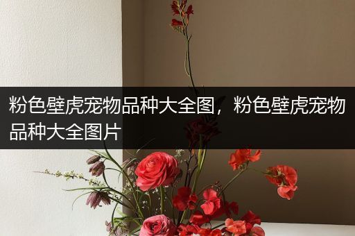 粉色壁虎宠物品种大全图，粉色壁虎宠物品种大全图片