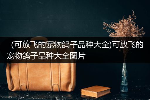 （可放飞的宠物鸽子品种大全)可放飞的宠物鸽子品种大全图片