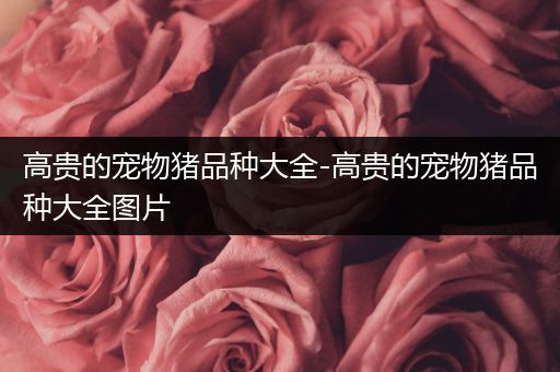 高贵的宠物猪品种大全-高贵的宠物猪品种大全图片
