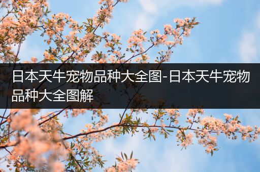 日本天牛宠物品种大全图-日本天牛宠物品种大全图解