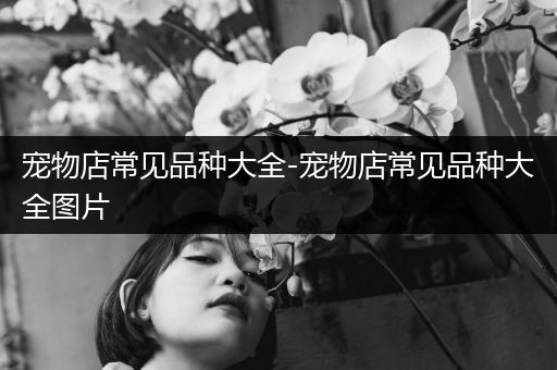 宠物店常见品种大全-宠物店常见品种大全图片