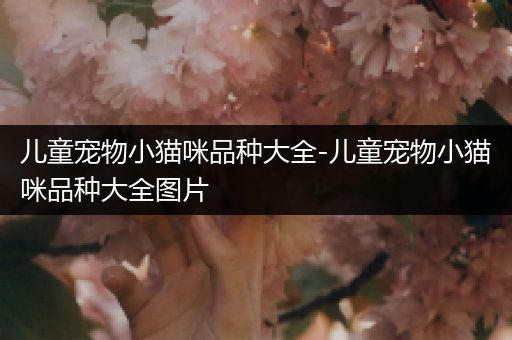 儿童宠物小猫咪品种大全-儿童宠物小猫咪品种大全图片