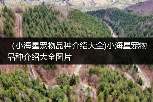 （小海星宠物品种介绍大全)小海星宠物品种介绍大全图片