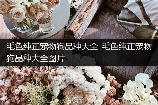 毛色纯正宠物狗品种大全-毛色纯正宠物狗品种大全图片