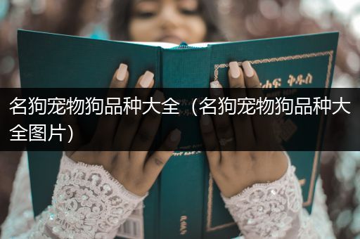 名狗宠物狗品种大全（名狗宠物狗品种大全图片）