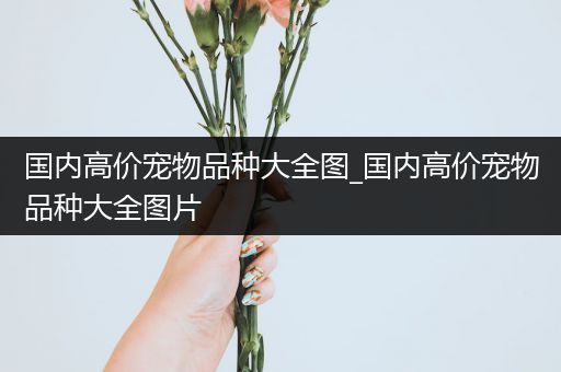 国内高价宠物品种大全图_国内高价宠物品种大全图片