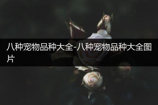 八种宠物品种大全-八种宠物品种大全图片