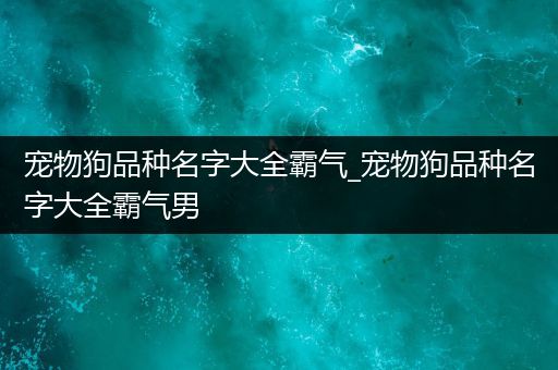 宠物狗品种名字大全霸气_宠物狗品种名字大全霸气男