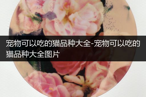 宠物可以吃的猫品种大全-宠物可以吃的猫品种大全图片