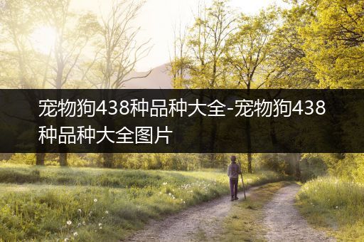 宠物狗438种品种大全-宠物狗438种品种大全图片