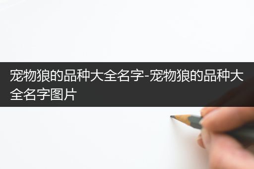 宠物狼的品种大全名字-宠物狼的品种大全名字图片