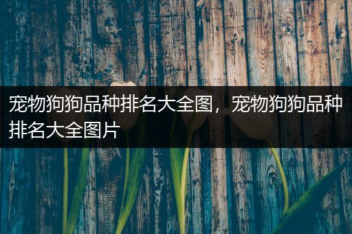 宠物狗狗品种排名大全图，宠物狗狗品种排名大全图片