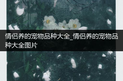 情侣养的宠物品种大全_情侣养的宠物品种大全图片