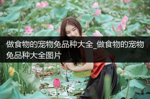 做食物的宠物兔品种大全_做食物的宠物兔品种大全图片