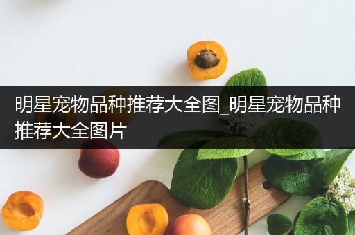 明星宠物品种推荐大全图_明星宠物品种推荐大全图片