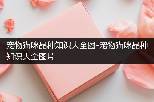 宠物猫咪品种知识大全图-宠物猫咪品种知识大全图片