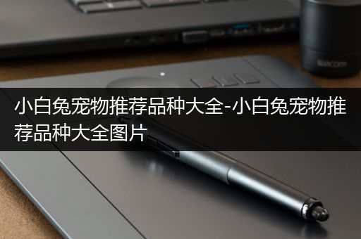 小白兔宠物推荐品种大全-小白兔宠物推荐品种大全图片