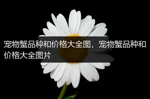 宠物蟹品种和价格大全图，宠物蟹品种和价格大全图片