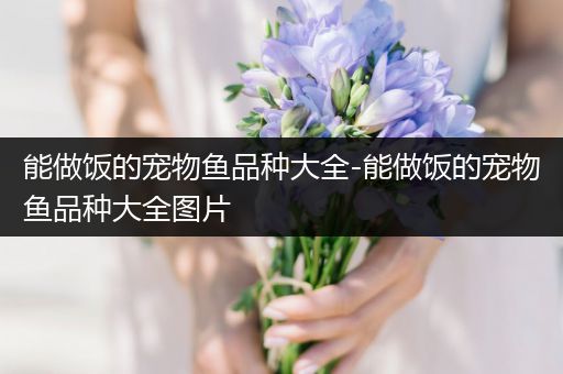 能做饭的宠物鱼品种大全-能做饭的宠物鱼品种大全图片