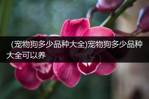 （宠物狗多少品种大全)宠物狗多少品种大全可以养