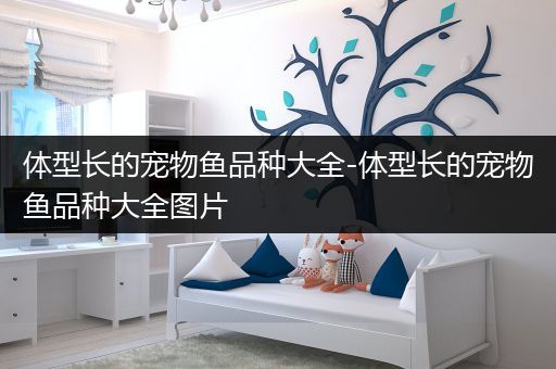 体型长的宠物鱼品种大全-体型长的宠物鱼品种大全图片