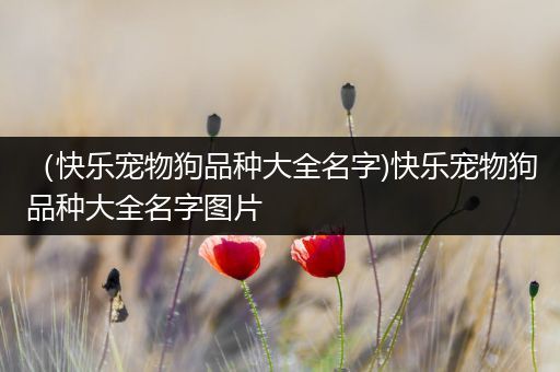 （快乐宠物狗品种大全名字)快乐宠物狗品种大全名字图片