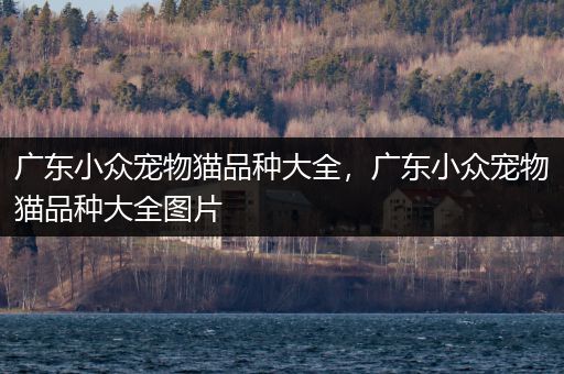 广东小众宠物猫品种大全，广东小众宠物猫品种大全图片