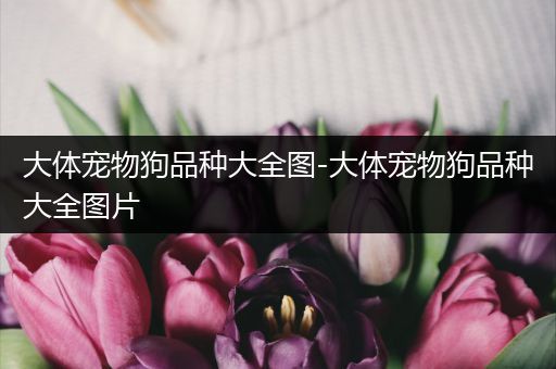 大体宠物狗品种大全图-大体宠物狗品种大全图片