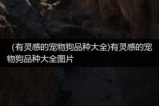 （有灵感的宠物狗品种大全)有灵感的宠物狗品种大全图片