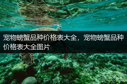 宠物螃蟹品种价格表大全，宠物螃蟹品种价格表大全图片