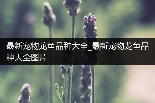 最新宠物龙鱼品种大全_最新宠物龙鱼品种大全图片