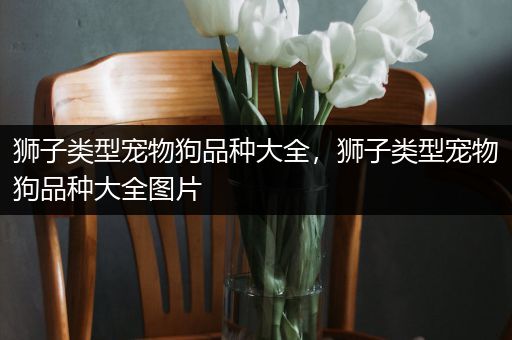 狮子类型宠物狗品种大全，狮子类型宠物狗品种大全图片