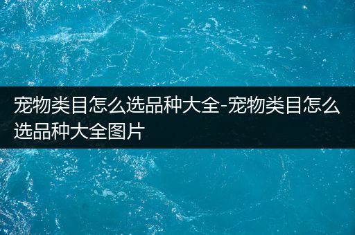 宠物类目怎么选品种大全-宠物类目怎么选品种大全图片