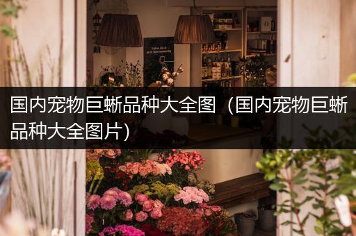 国内宠物巨蜥品种大全图（国内宠物巨蜥品种大全图片）