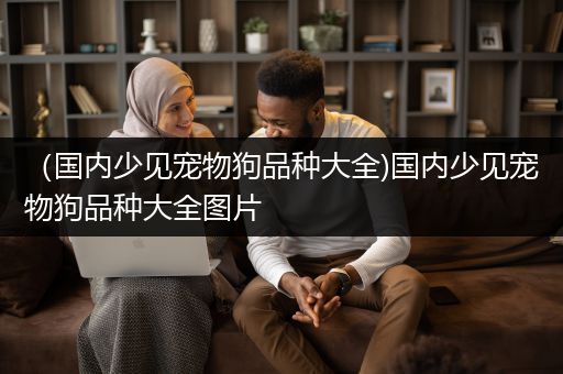 （国内少见宠物狗品种大全)国内少见宠物狗品种大全图片