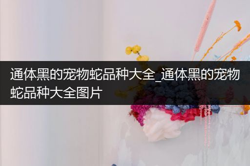 通体黑的宠物蛇品种大全_通体黑的宠物蛇品种大全图片