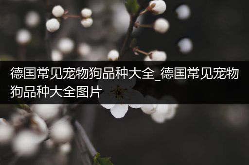 德国常见宠物狗品种大全_德国常见宠物狗品种大全图片