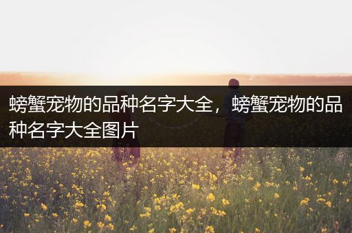 螃蟹宠物的品种名字大全，螃蟹宠物的品种名字大全图片